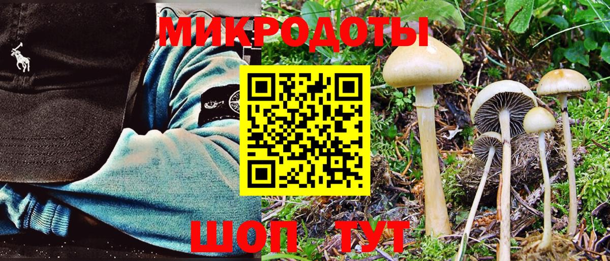 Псилоцибиновые грибы ЛСД  Вход с VPN  Советская Гавань 
