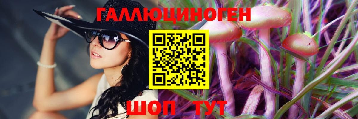 Галлюциногенные грибы Psilocybe Советская Гавань
